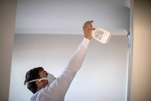 Reliable Morris, IL Mold Remediation Solutions