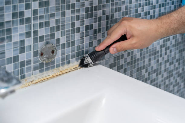Best DIY Mold Remediation Support Services in Morris, IL