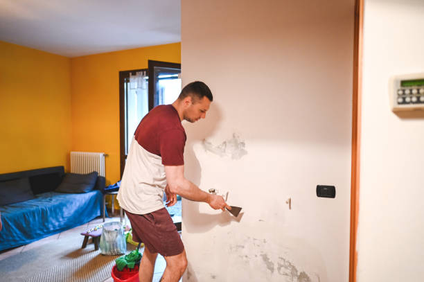 Best Basement Mold Remediation in Morris, IL